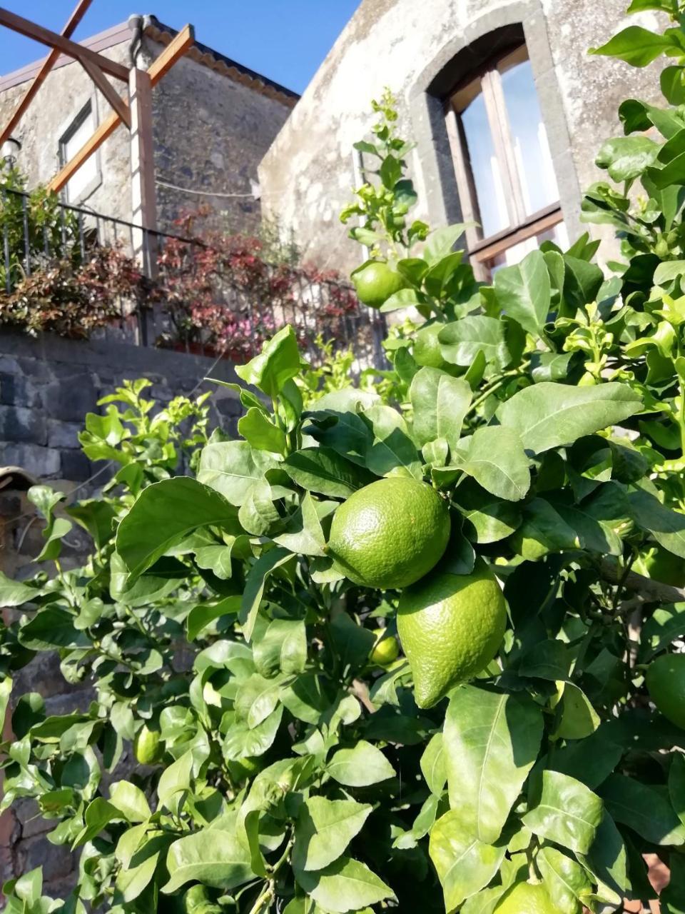 La Pietra Antica O' Munti Villa Mascali Exteriör bild
