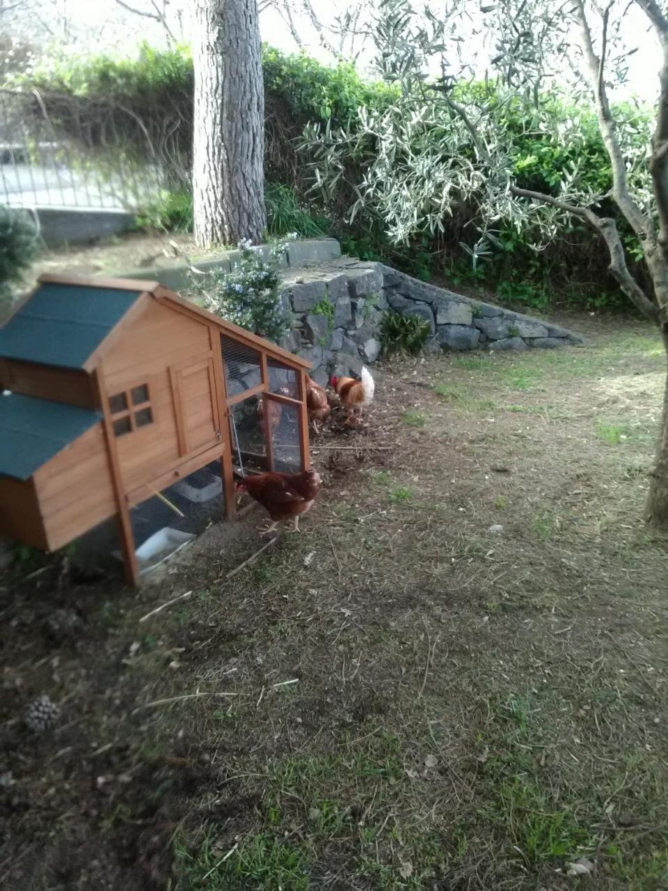 La Pietra Antica O' Munti Villa Mascali Exteriör bild